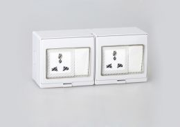 Two Switch with Two Multi-Purpose Socket